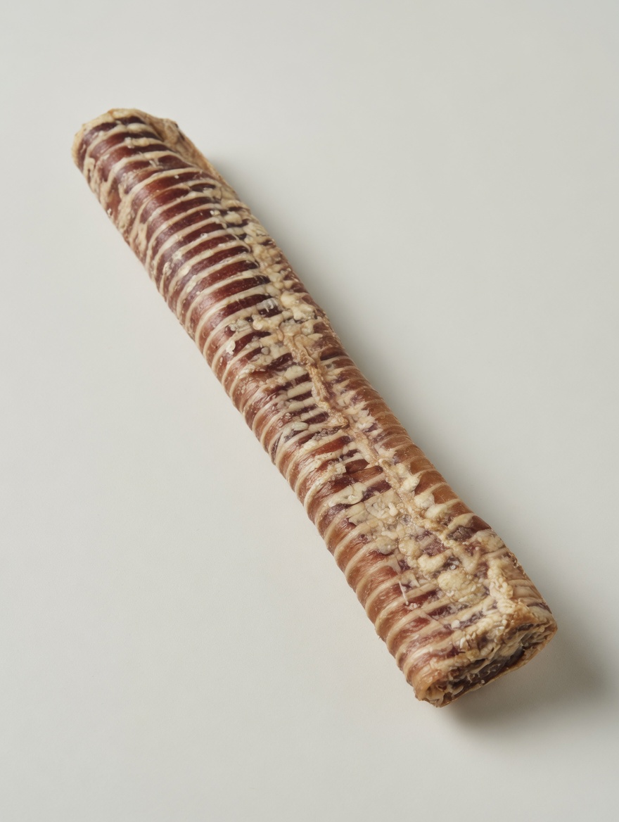 Beef trachea